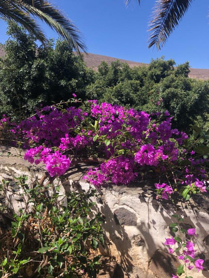 Los Tunos Campo Internacional Vila Maspalomas  Exterior foto